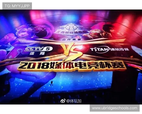 北京排球队运营革新探索：提升竞技水平与市场影响力的全新策略