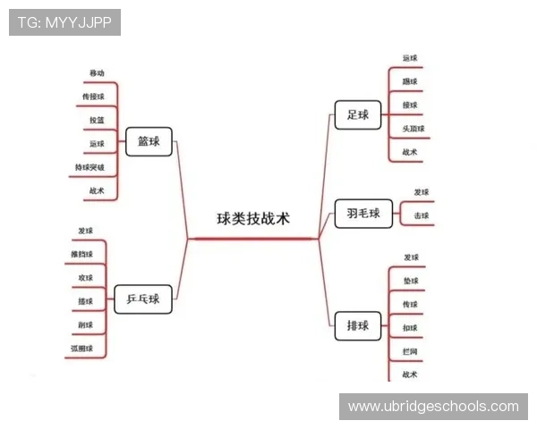 杭州排球队盯防战术解析与排球热点深度剖析