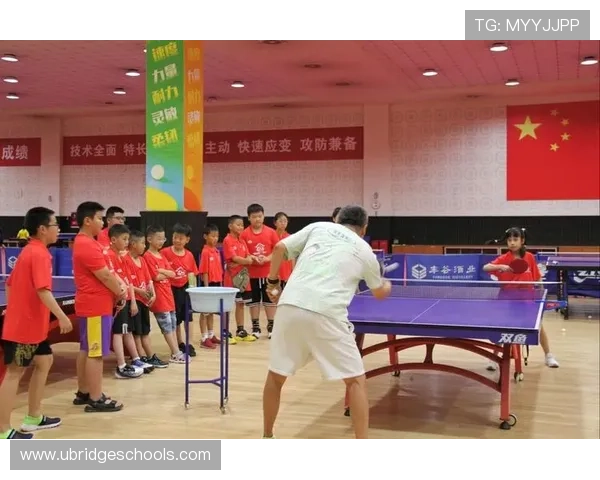 武汉乒乓球队的耐力训练与比赛表现深度剖析