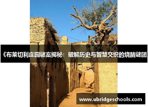 《布莱切利庄园谜案揭秘：破解历史与智慧交织的烧脑谜团》